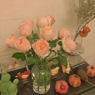 安博体育·(中国)官方网站下载手机版